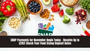 SNAP Payments for November Begin Today – Receive Up to $292! Check Your Food Stamp Deposit Dates