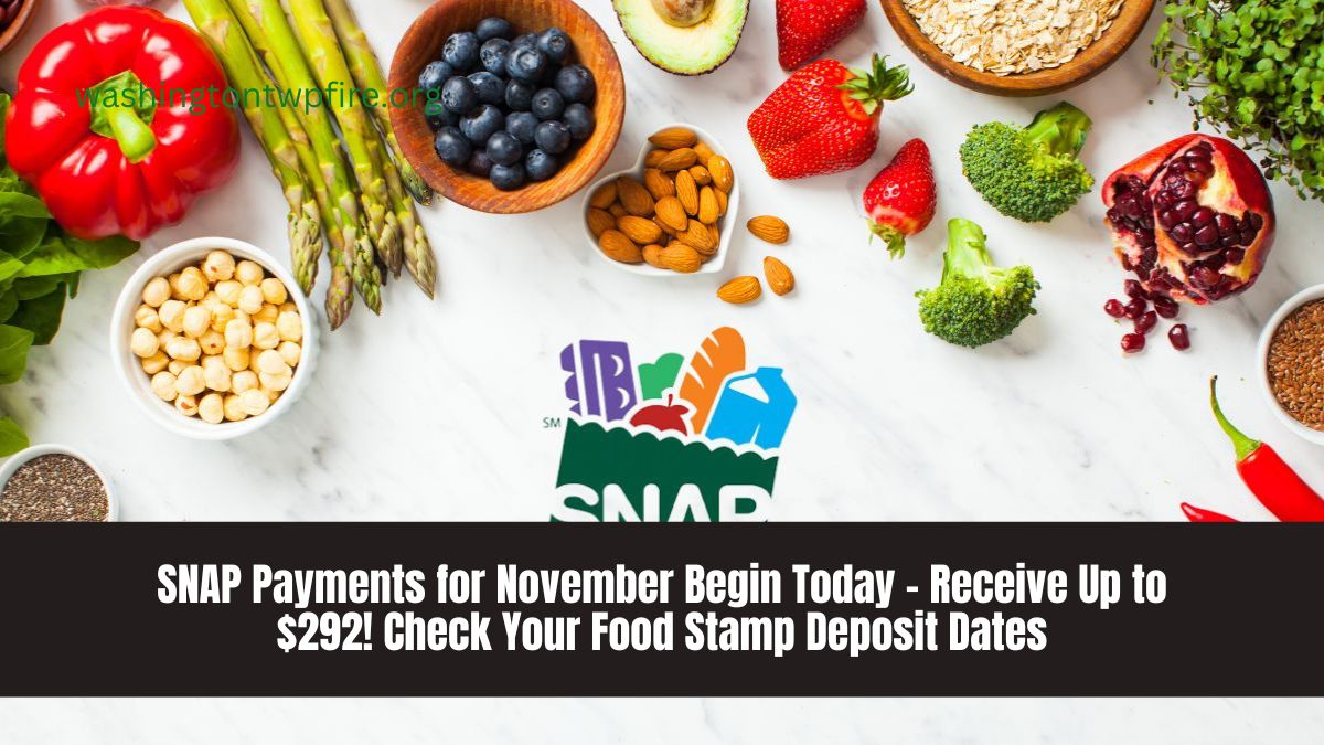 SNAP Payments for November Begin Today – Receive Up to $292! Check Your Food Stamp Deposit Dates